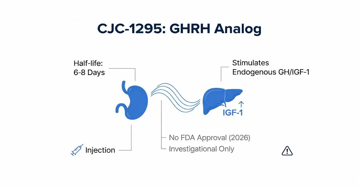 buy CJC-1295 peptide mechanism overview for laboratory planning